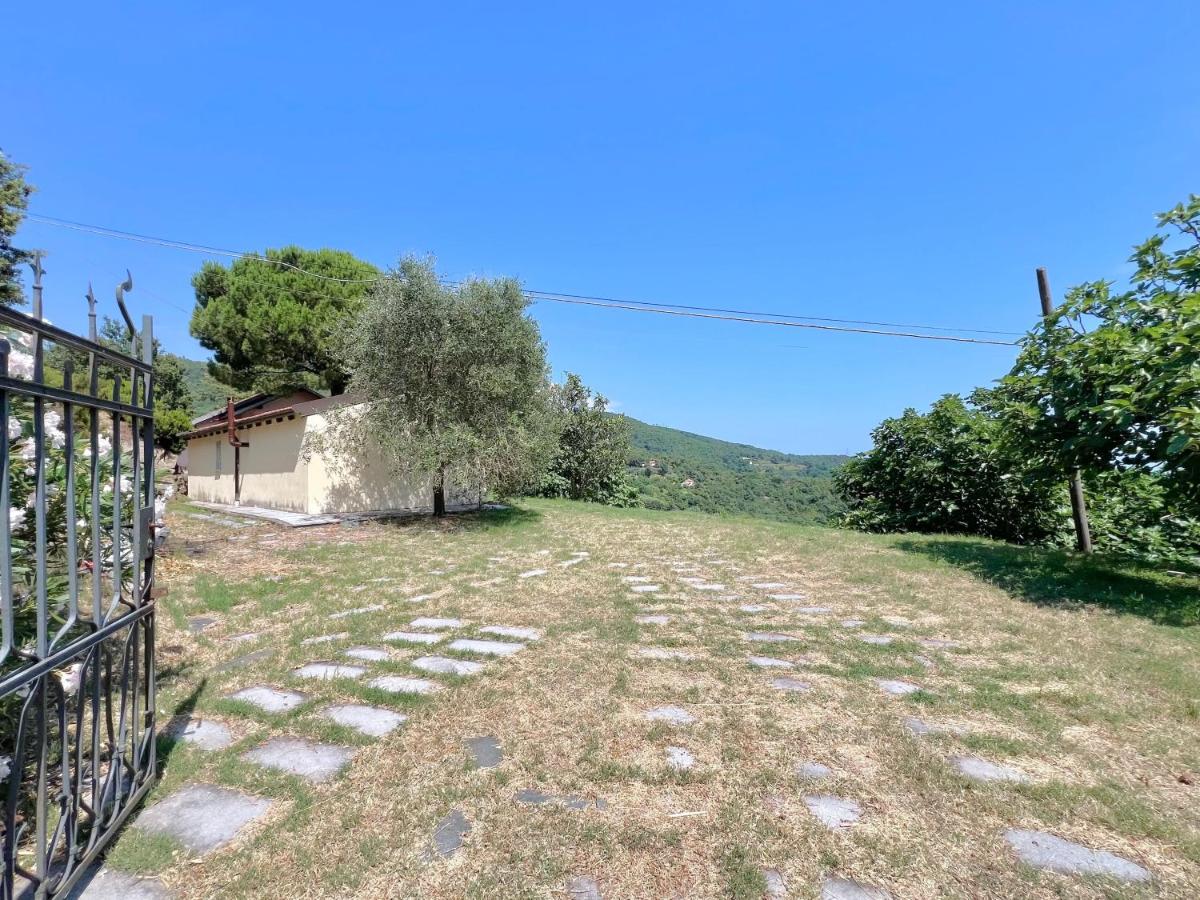 Vialetto in pietra fra il verde