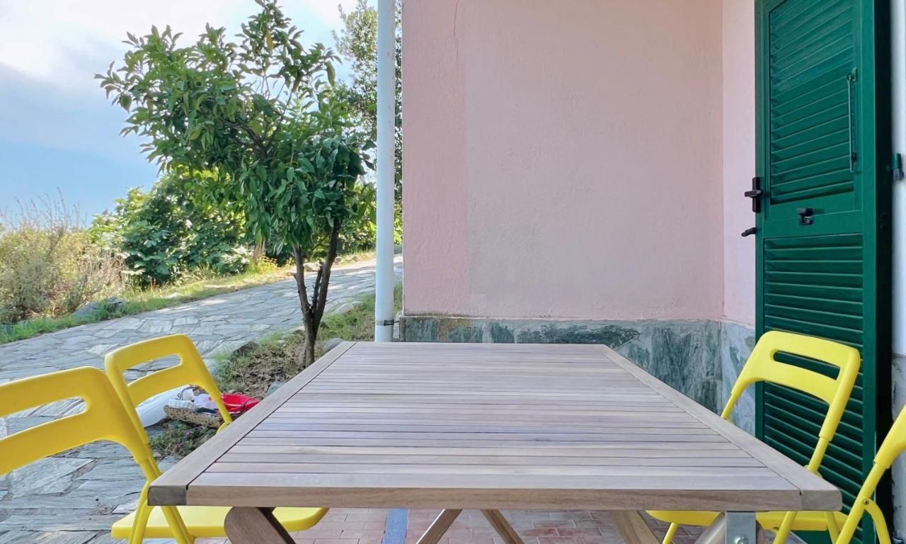 Tavolo da pranzo all'aperto sotto il pergolato